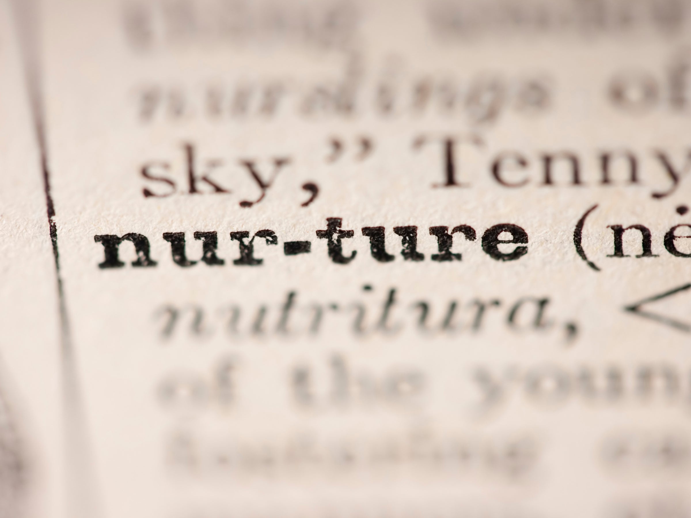 image of the word "nurture" in a dictionary